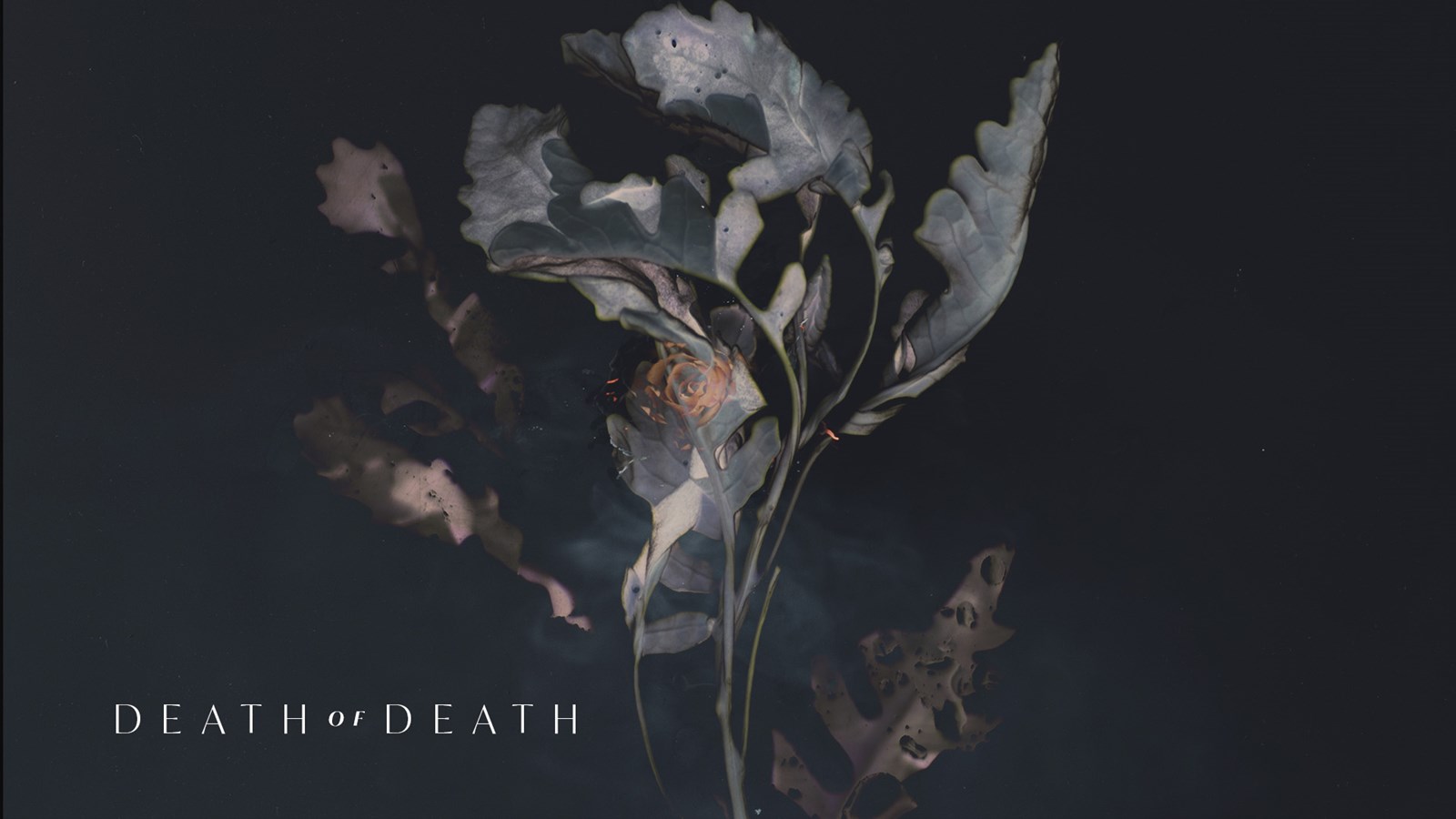 Death of Death