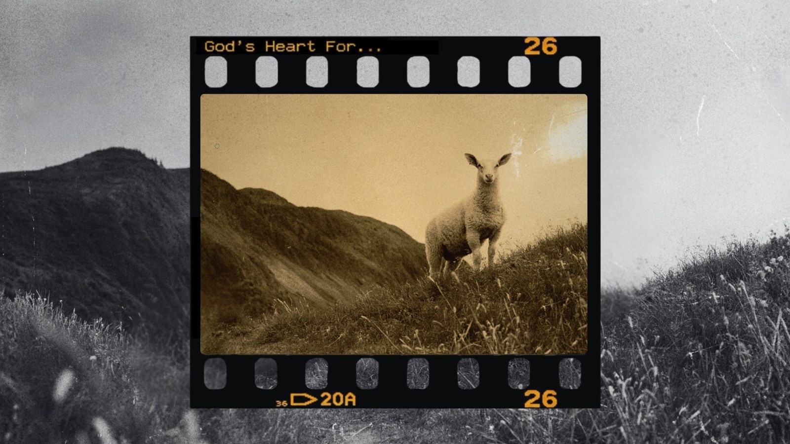 God's Heart For...
